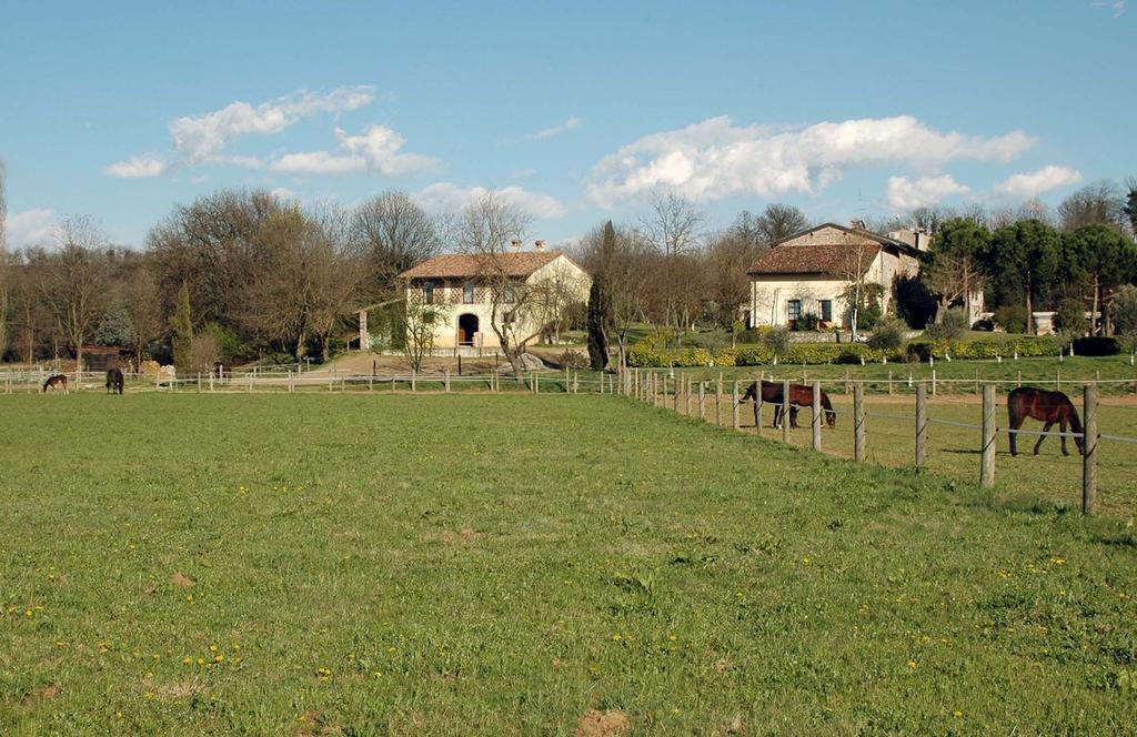 Agriturismo Trebisonda Country Resort Monzambano Exterior foto