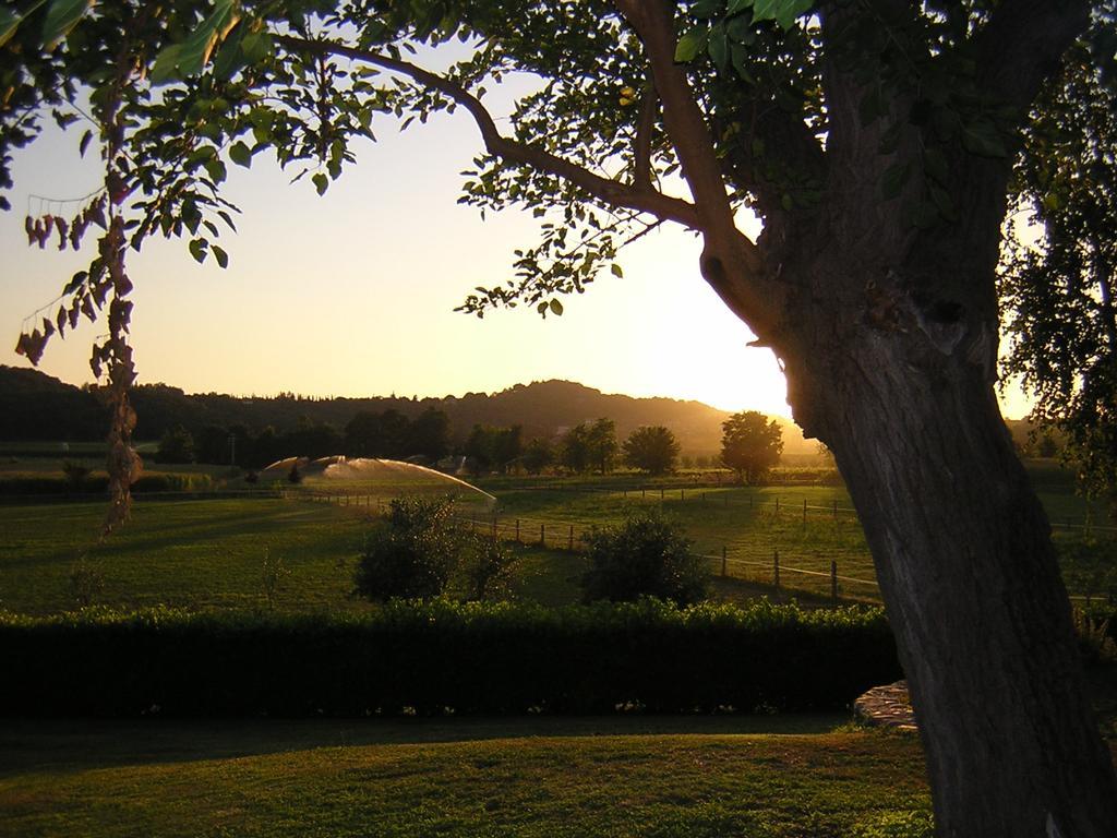 Agriturismo Trebisonda Country Resort Monzambano Exterior foto